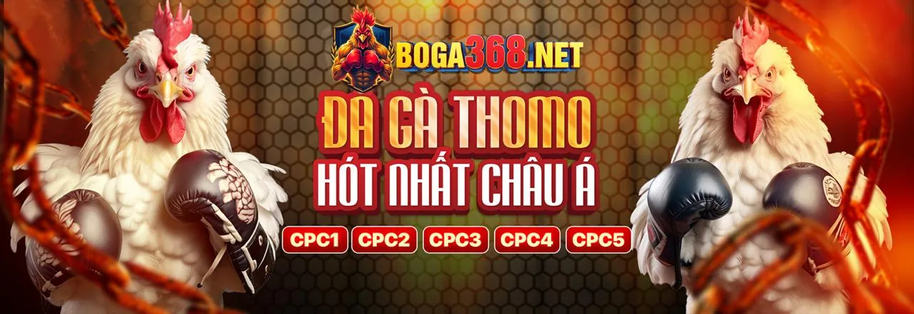 Đá Gà iwin nhà cái - Sân đấu kịch tính